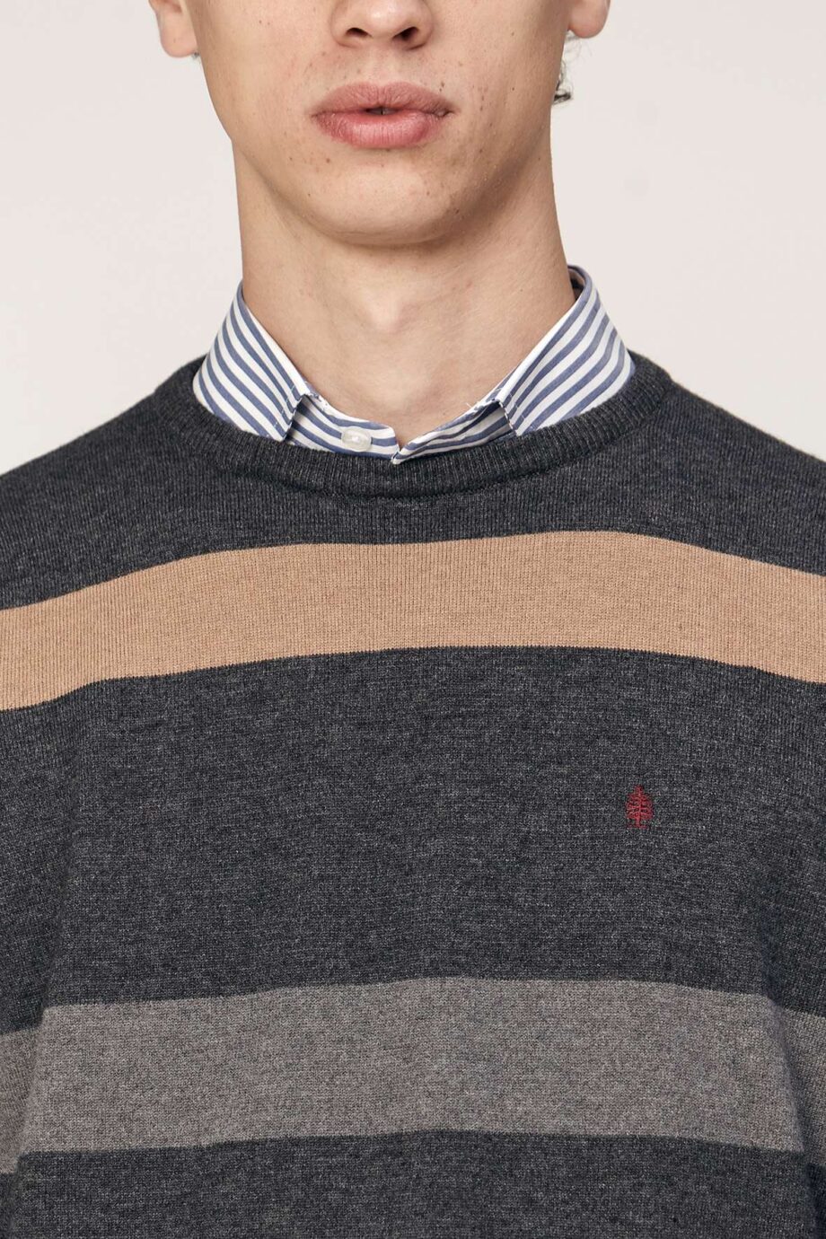Sweater escote redondo a rayas