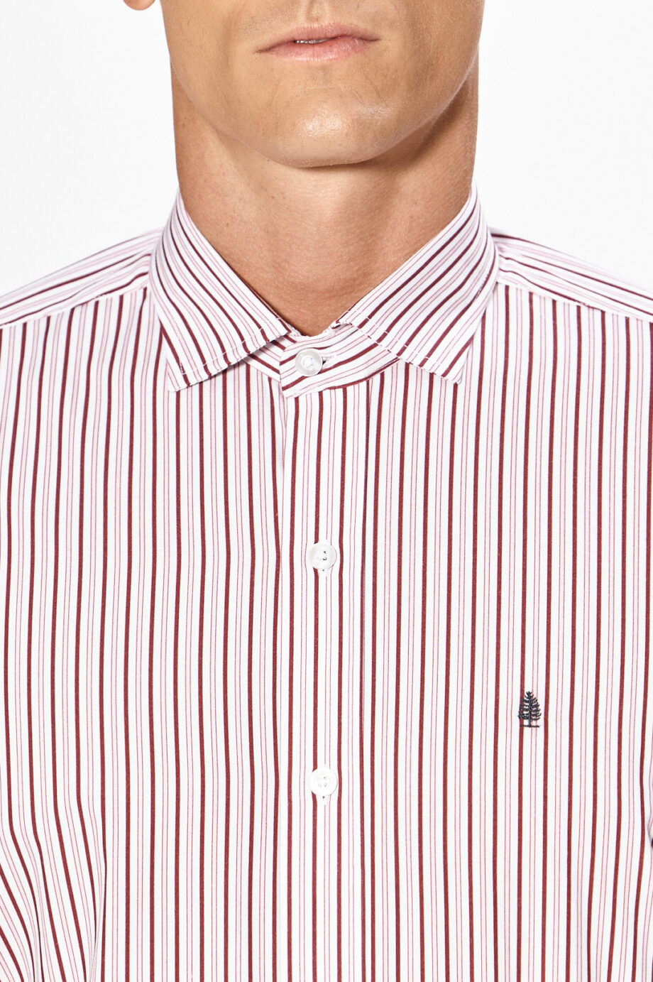 Camisa slim fit a rayas