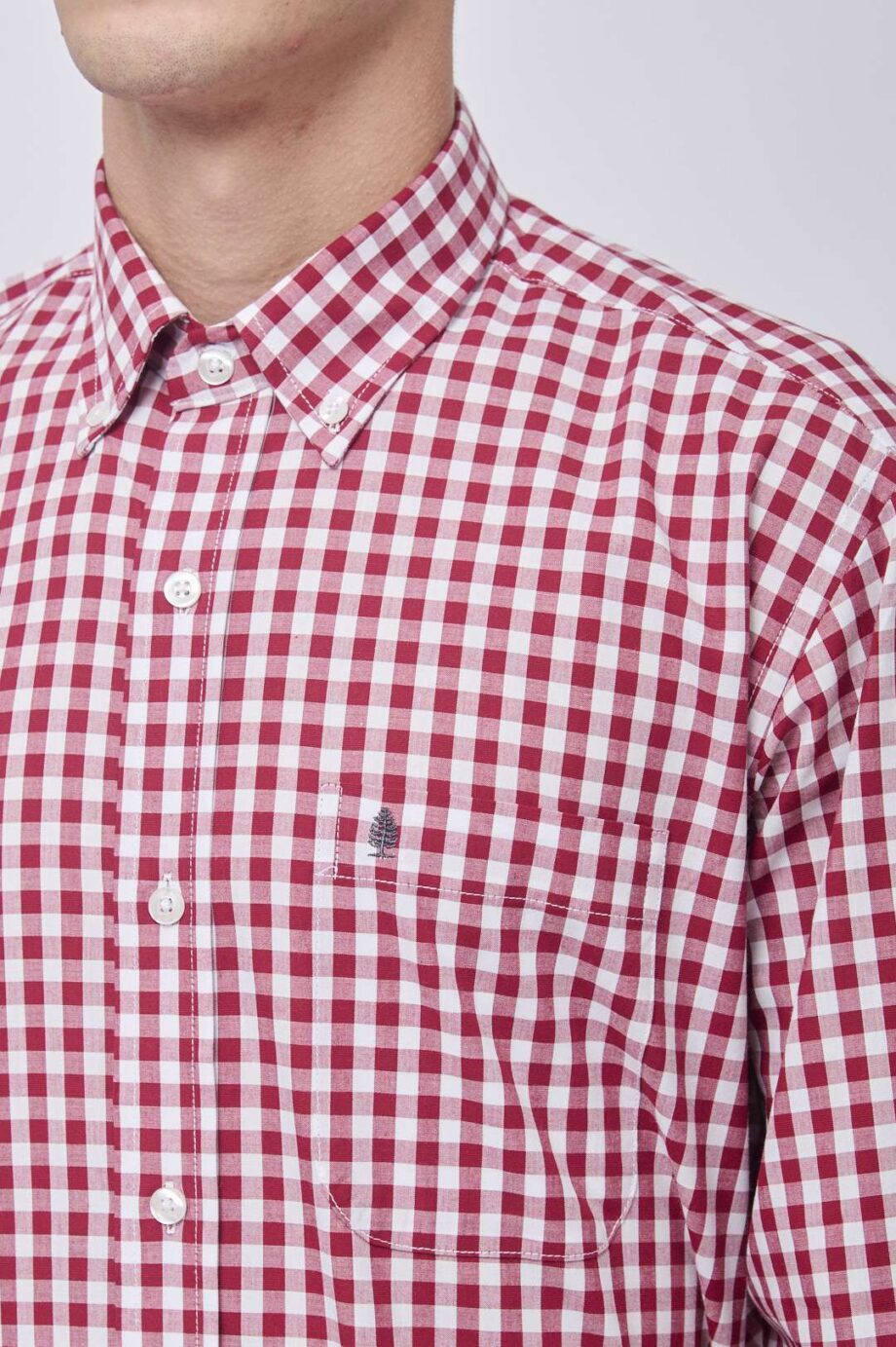 Camisa regular fit a cuadros de algodón