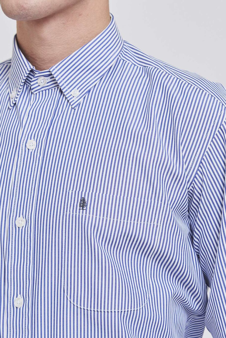 Camisa regular fit a rayas