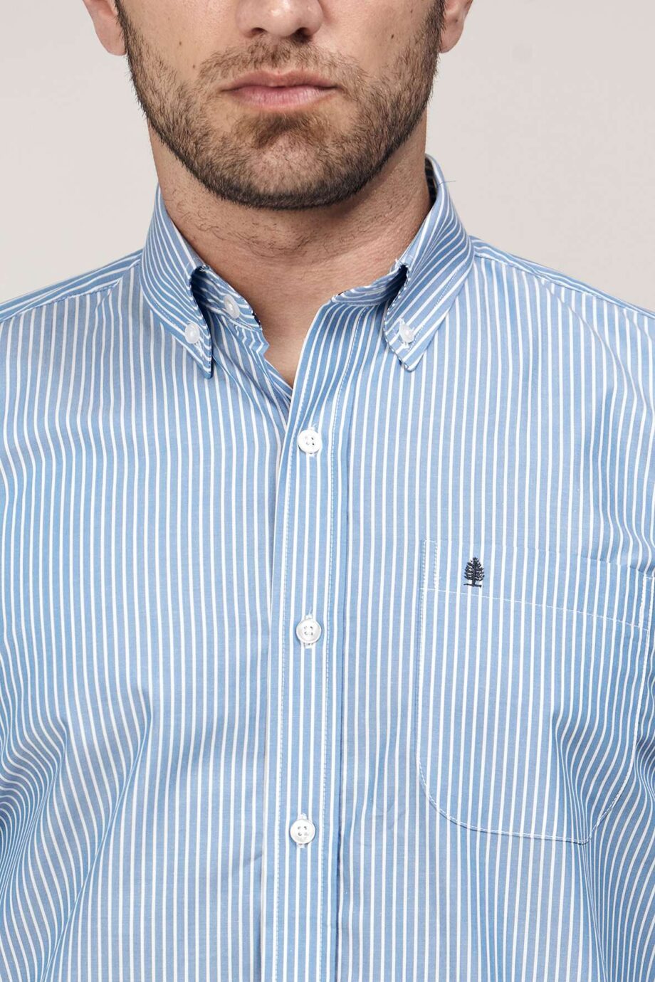 Camisa regular fit a rayas