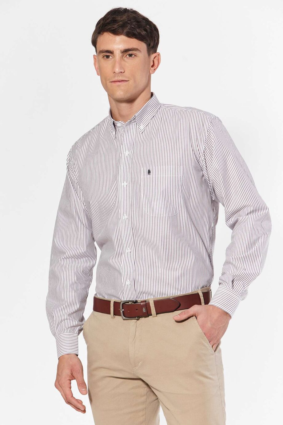 Camisa regular fit a rayas