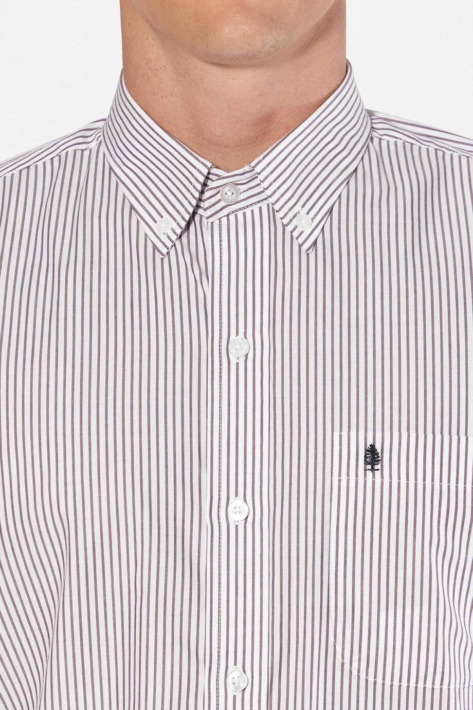 Camisa regular fit a rayas