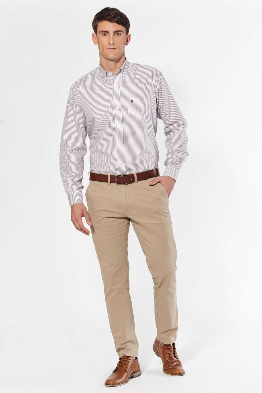 Camisa regular fit a rayas