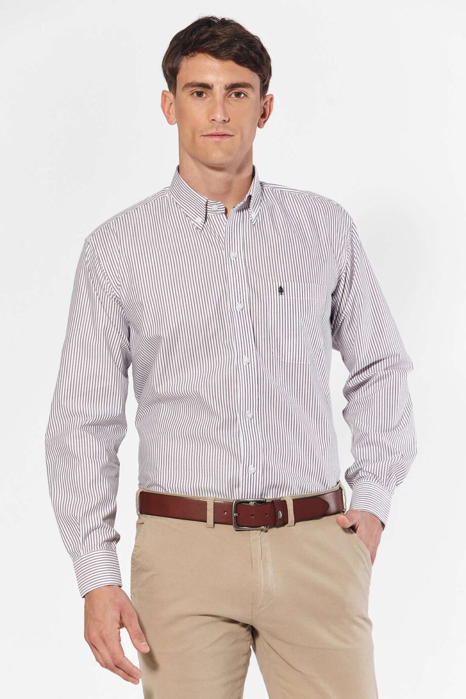 Camisa regular fit a rayas