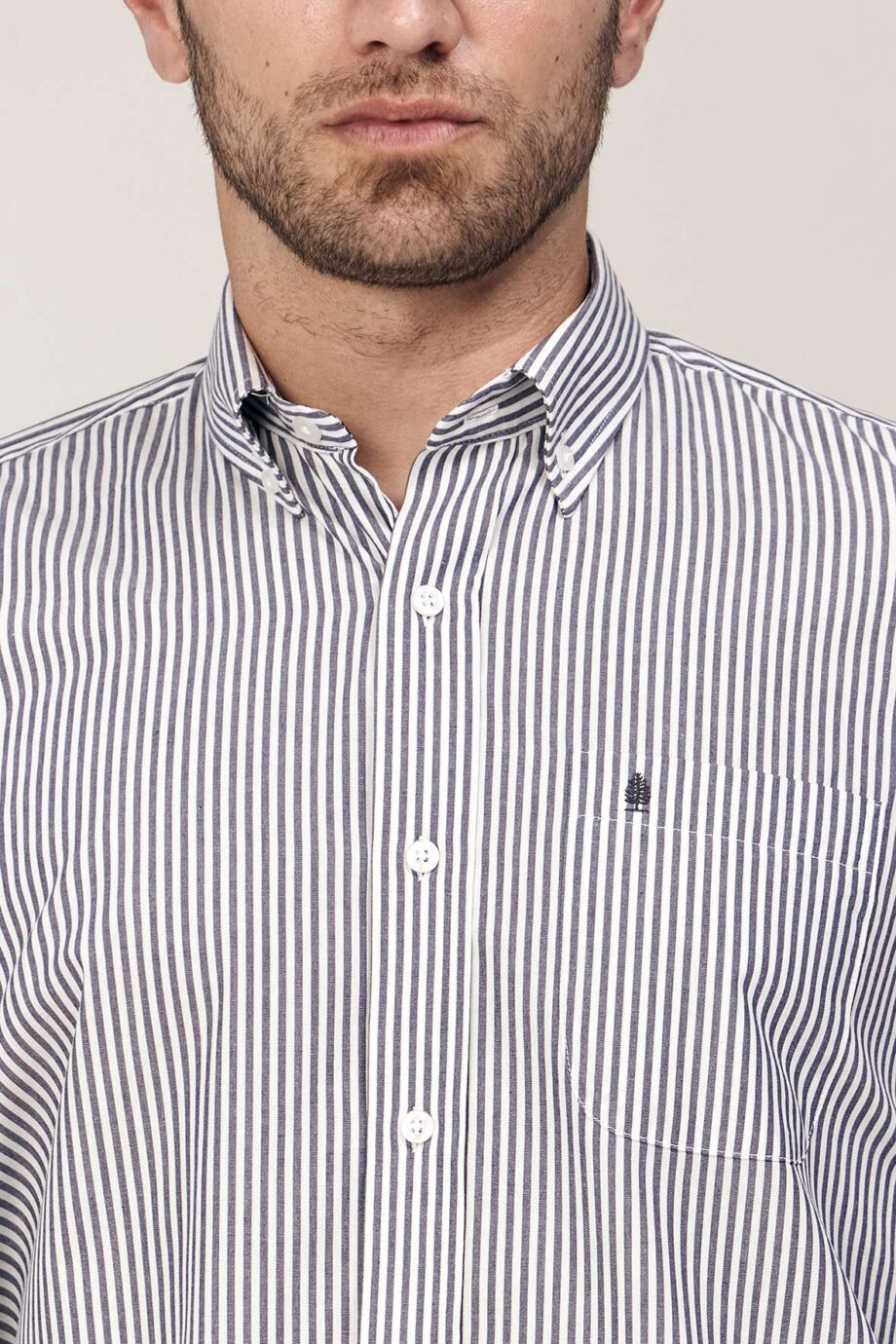 Camisa regular fit a rayas