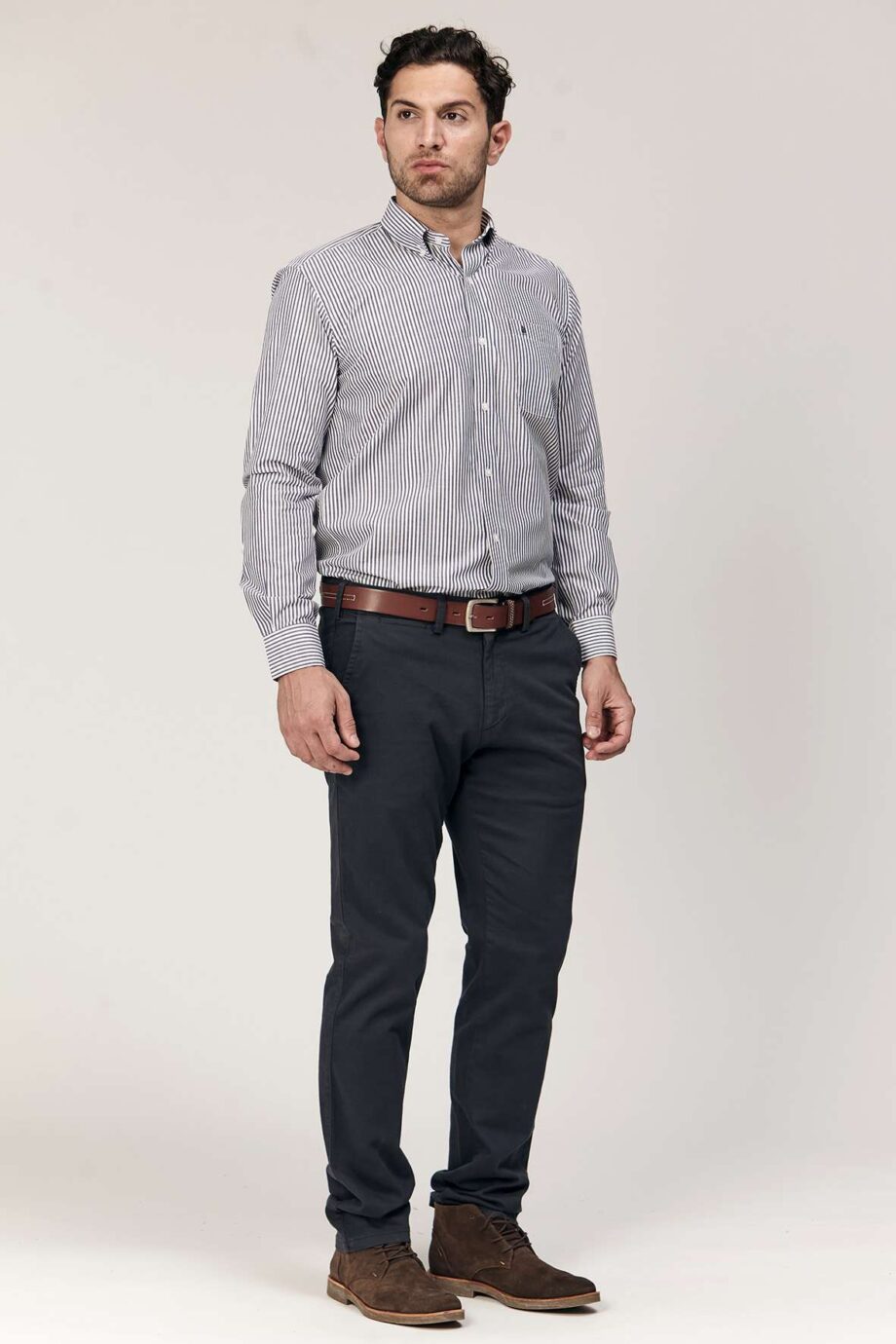 Camisa regular fit a rayas
