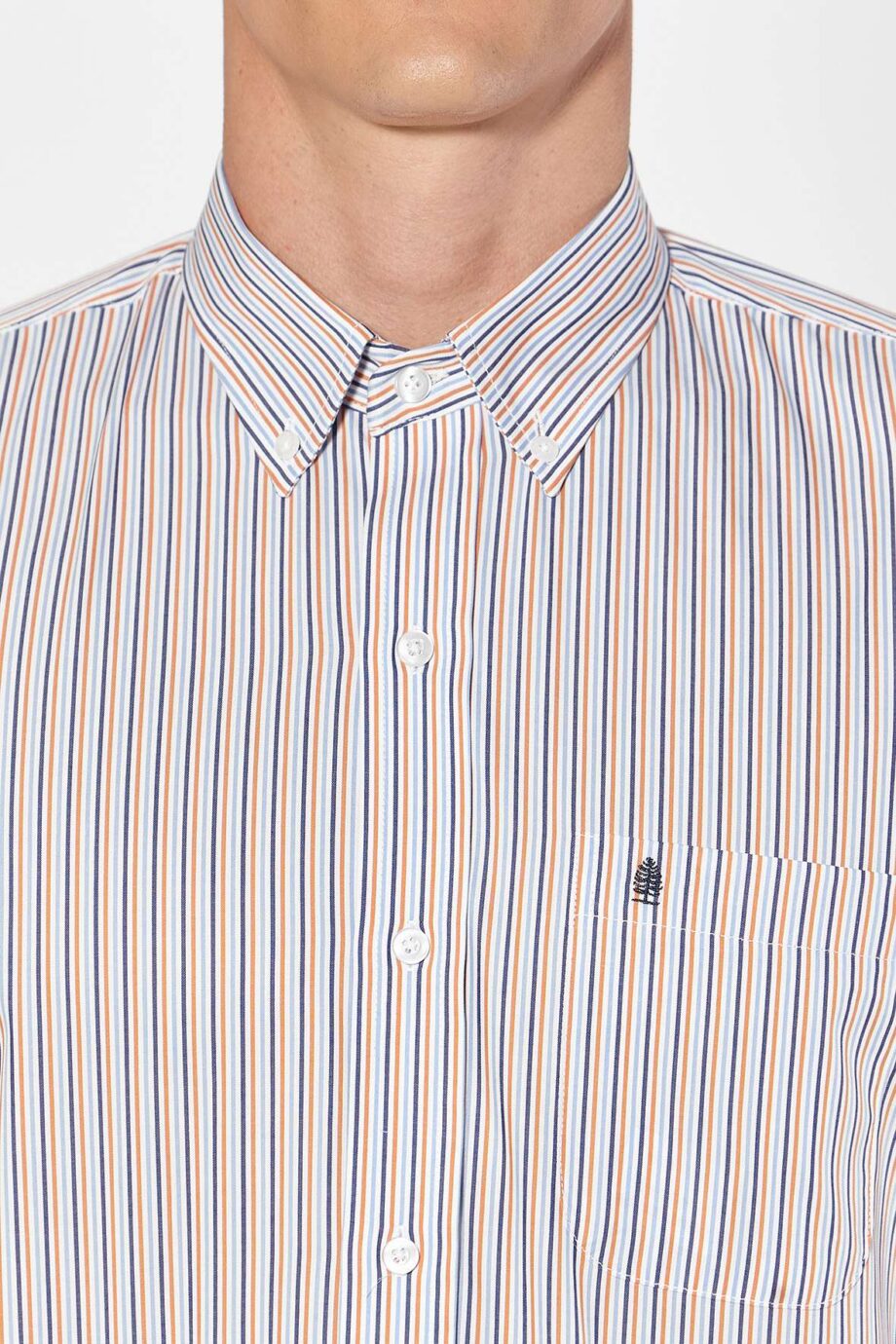 Camisa regular fit a rayas