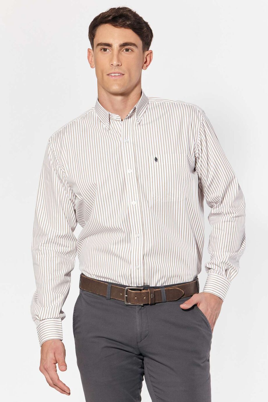 Camisa regular fit a rayas