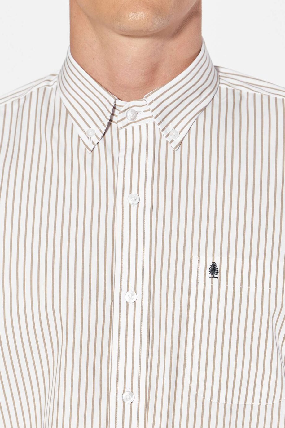 Camisa regular fit a rayas