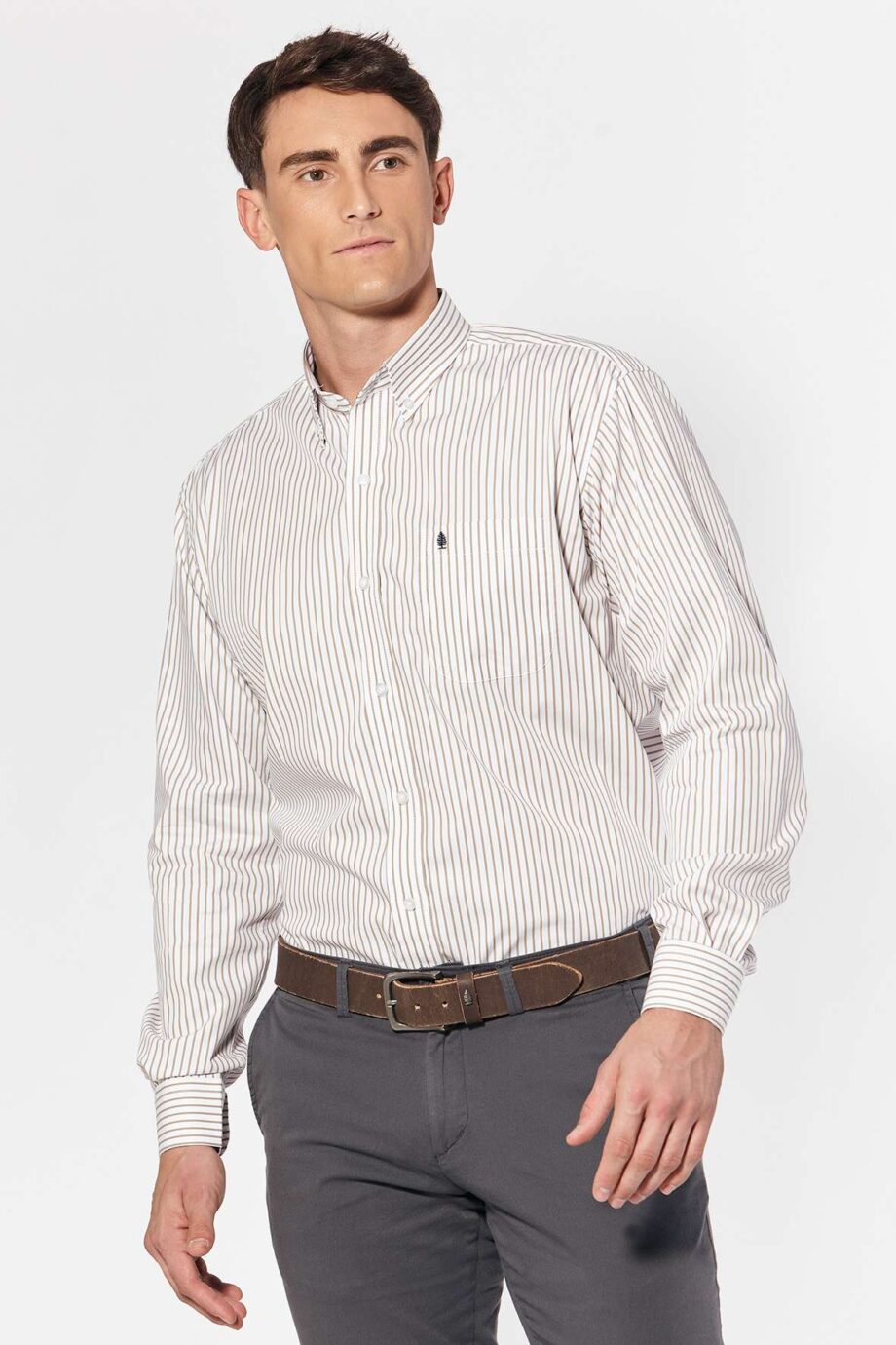 Camisa regular fit a rayas