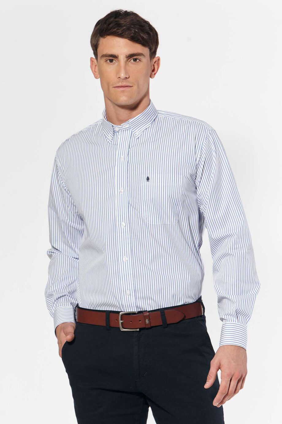 Camisa regular fit a rayas