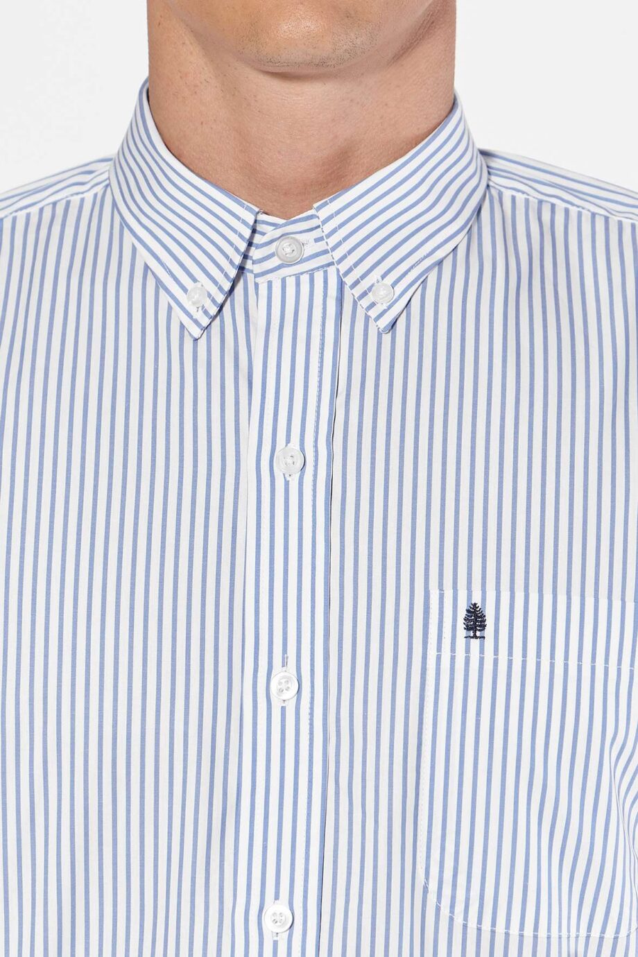 Camisa regular fit a rayas