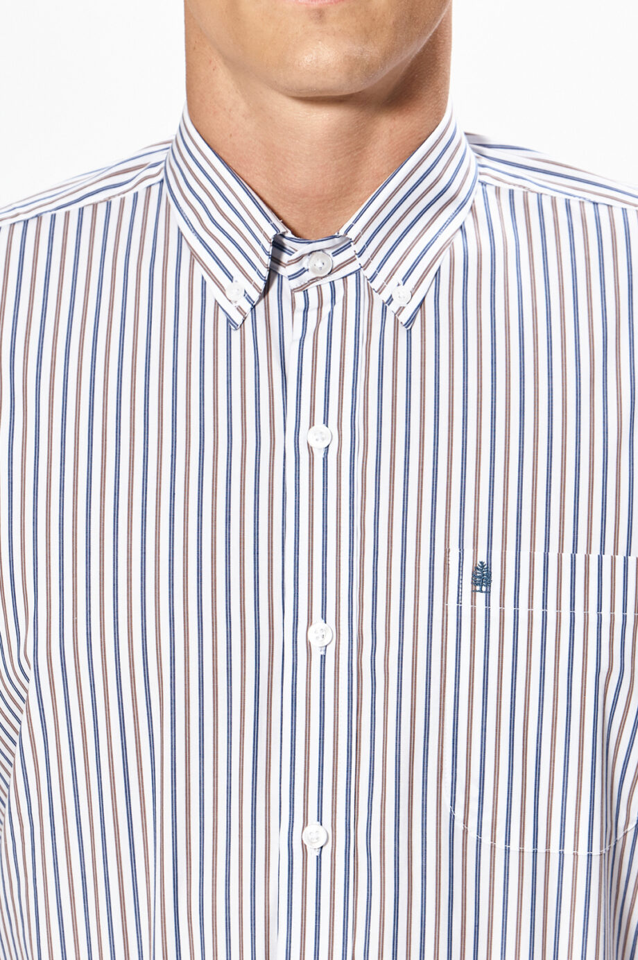 Camisa regular fit a rayas