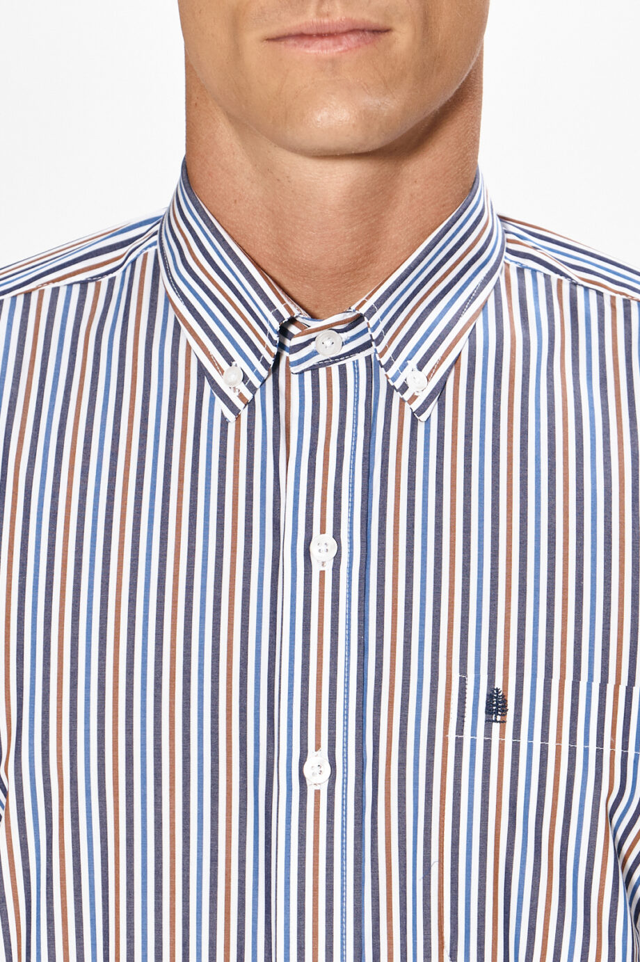 Camisa regular fit a rayas