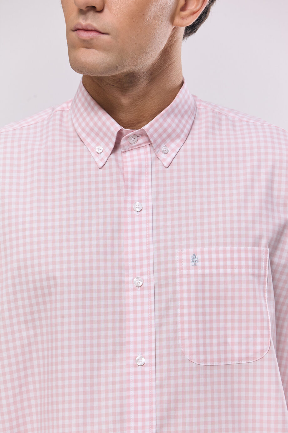 Camisa lisa regular fit