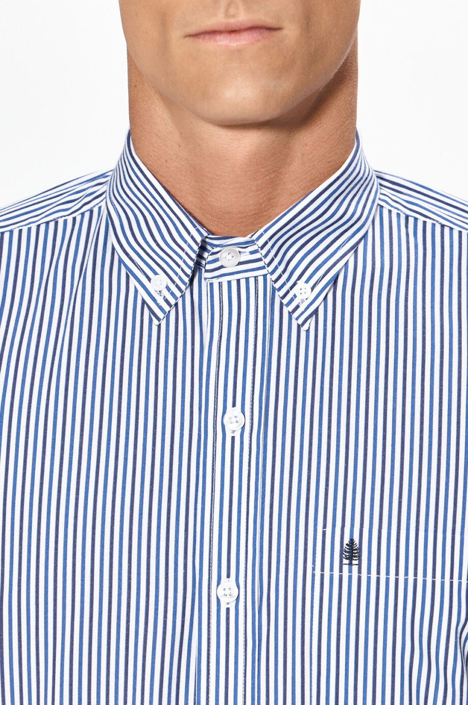 Camisa regular fit a rayas