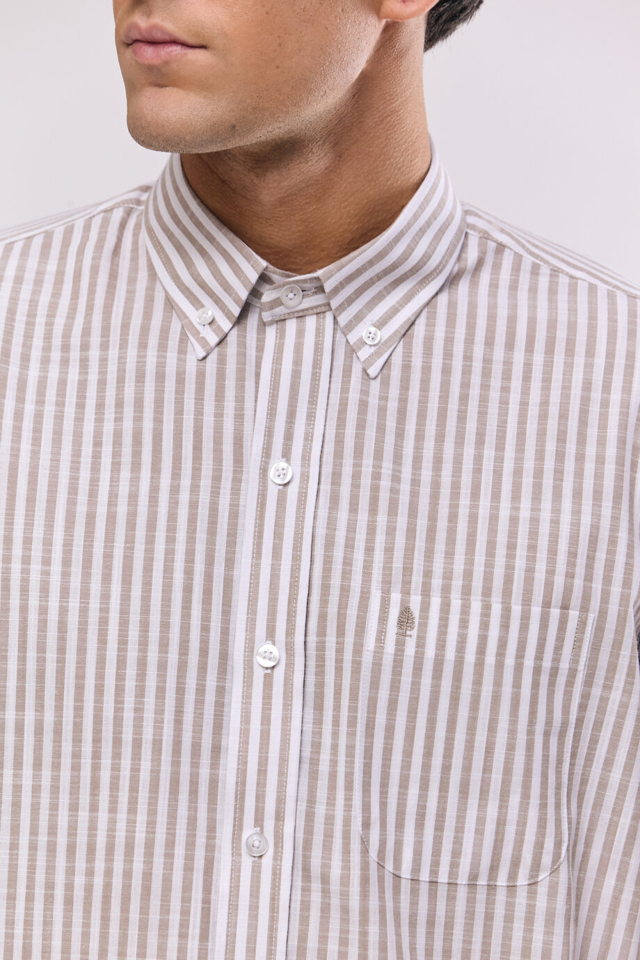 Camisa lisa regular fit