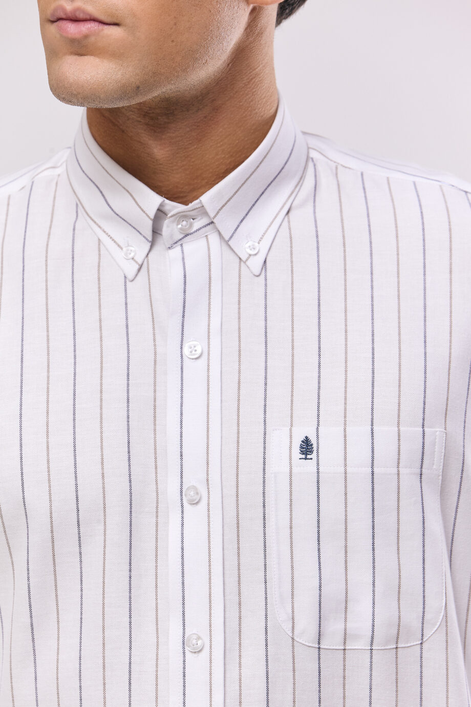Camisa regular fit a rayas