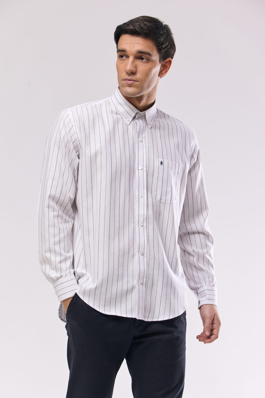 Camisa regular fit a rayas
