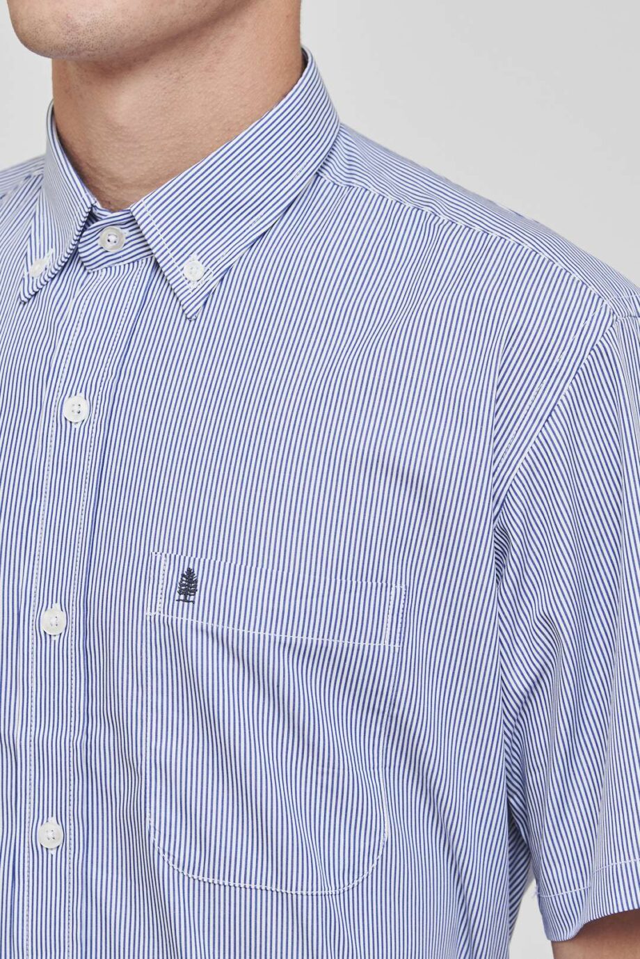 Camisa regular fit a rayas