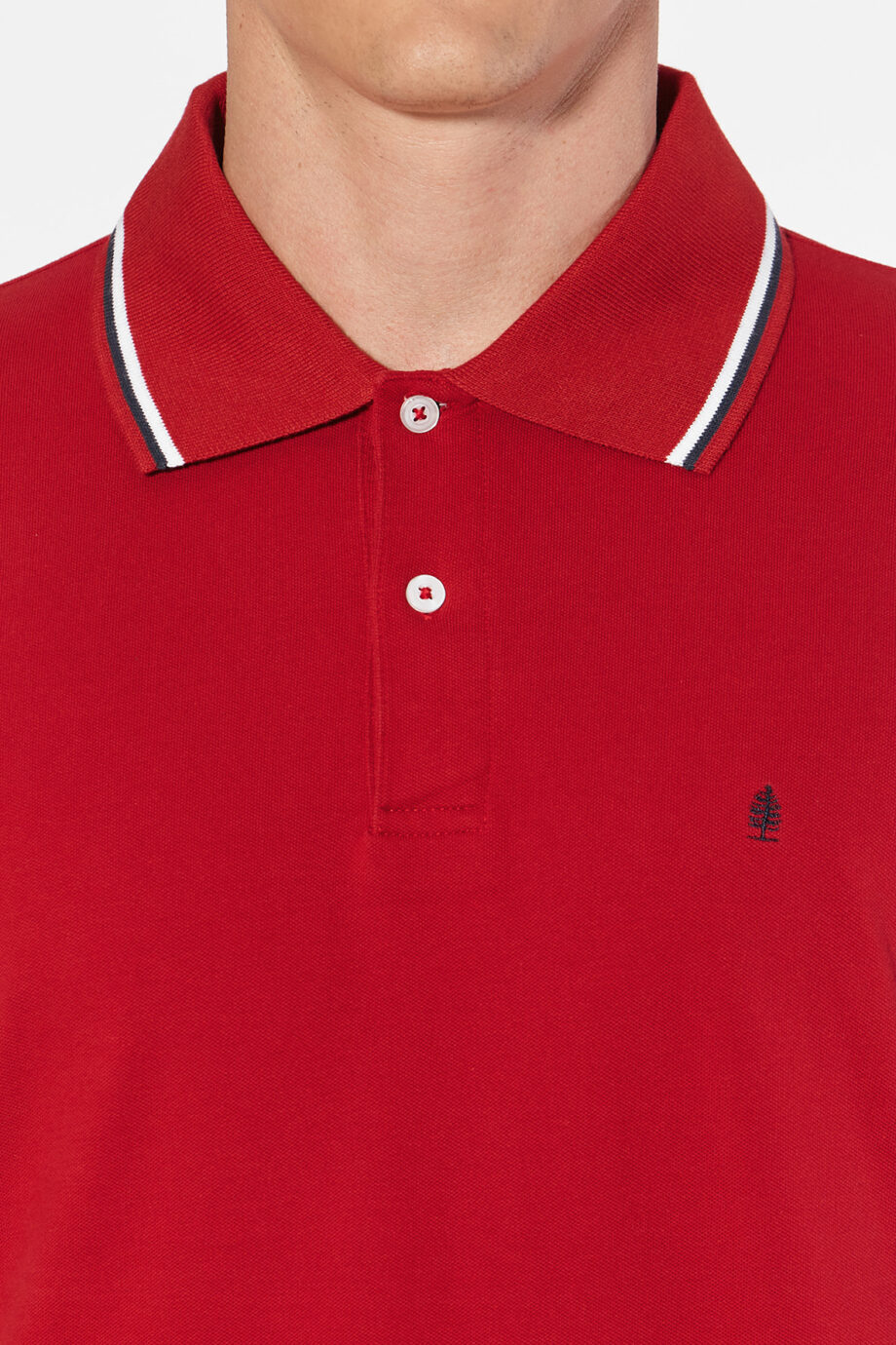 Polo lisa de piqué