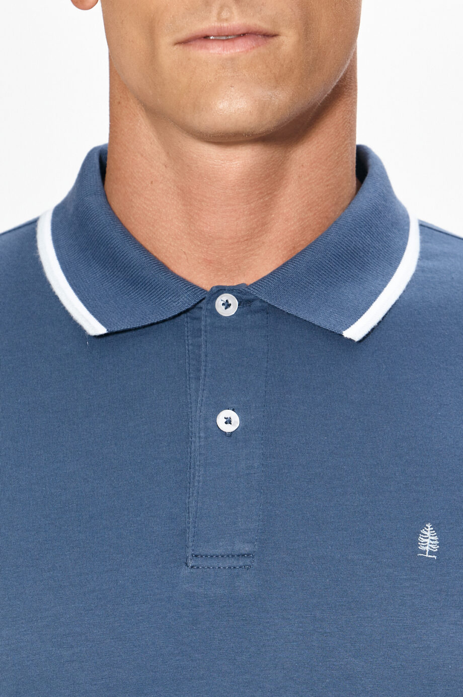 Polo lisa de algodón pima peruano