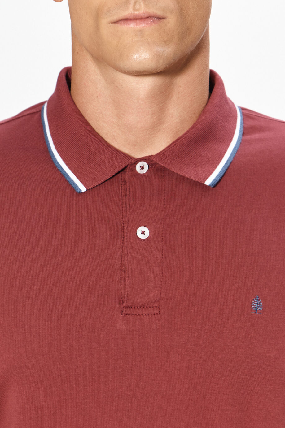 Polo lisa de algodón pima peruano