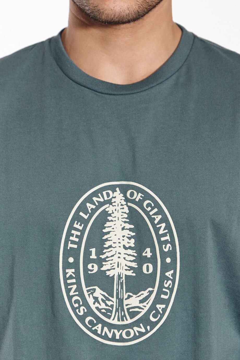 Remera mangas largas THE LAND OF GIANTS