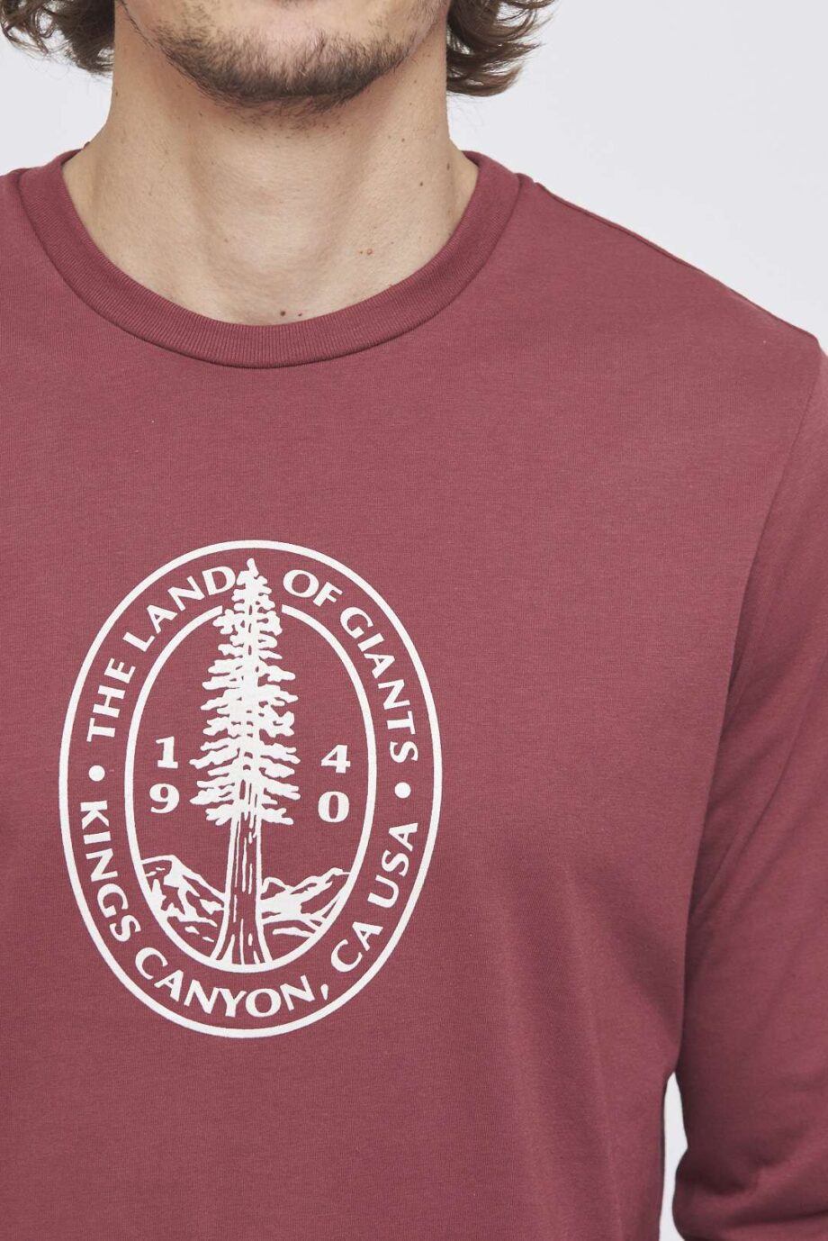 Remera mangas largas THE LAND OF GIANTS