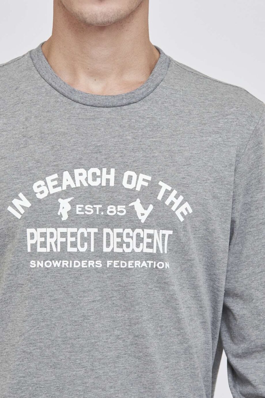 Remera mangas largas PERFECT DESCENT