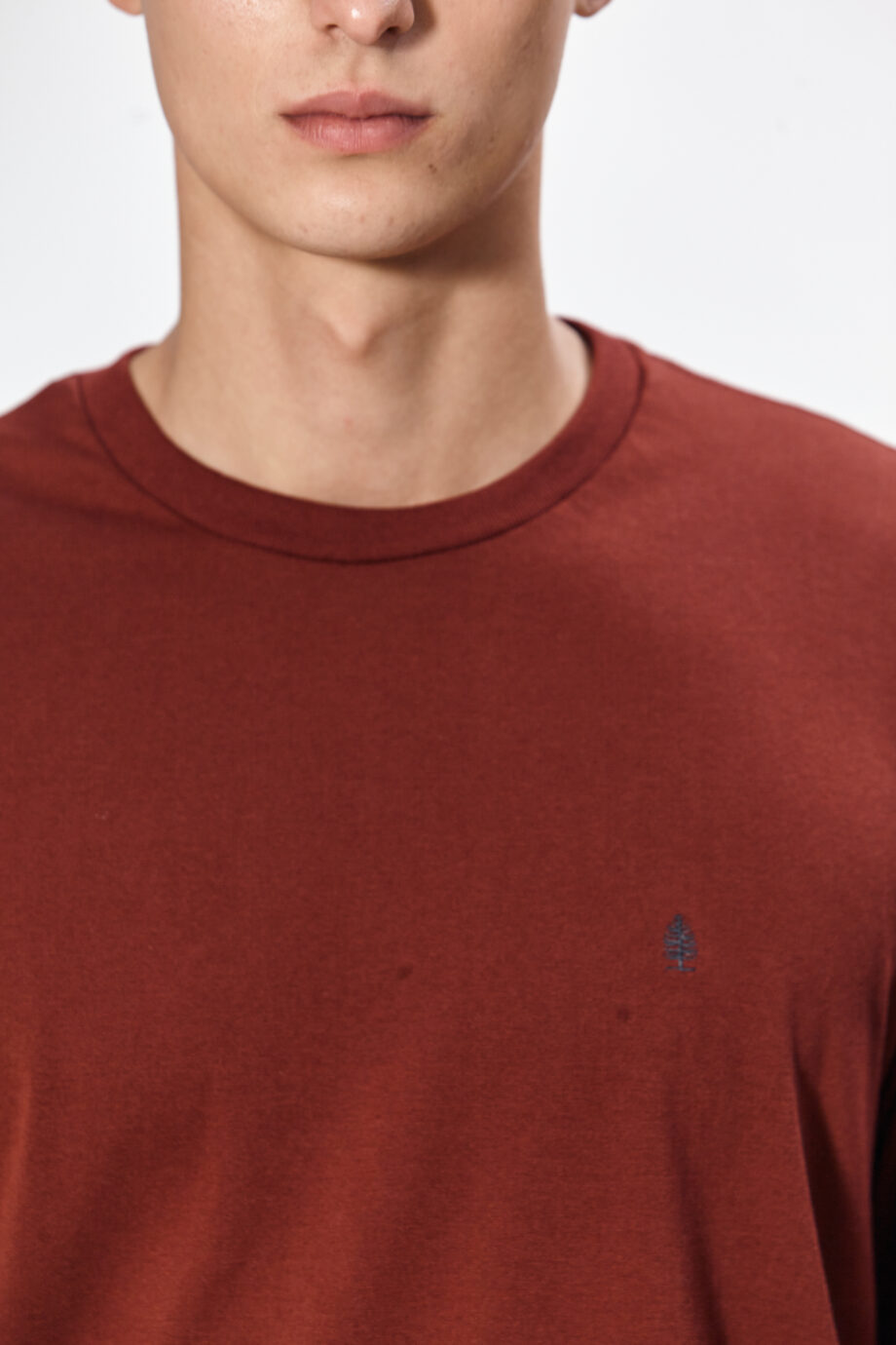 Remera lisa de jersey