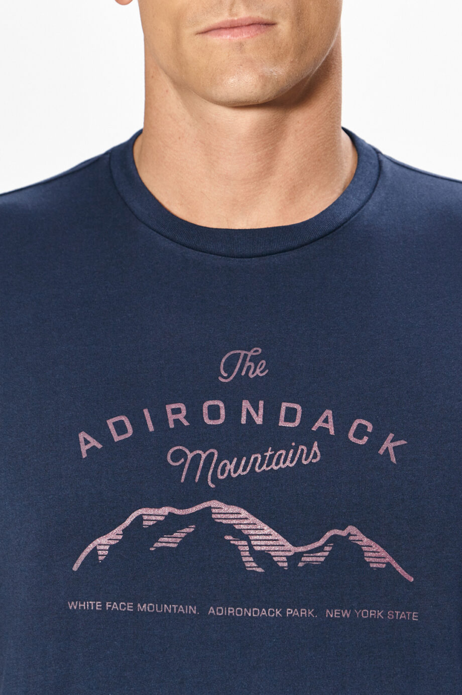 Remera adirondack de jersey