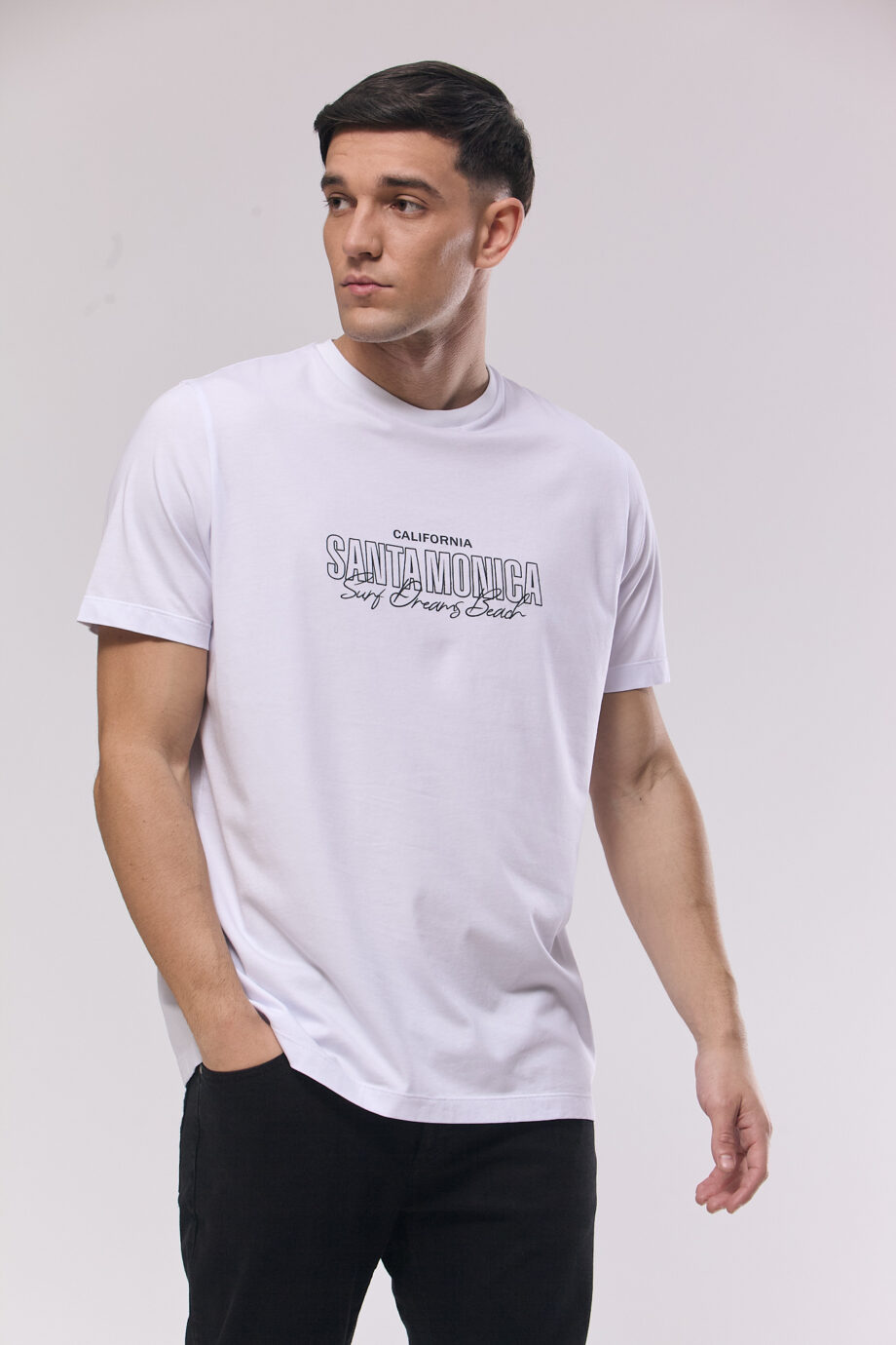 Remera Santa monica